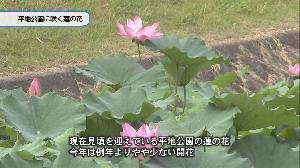 110272
