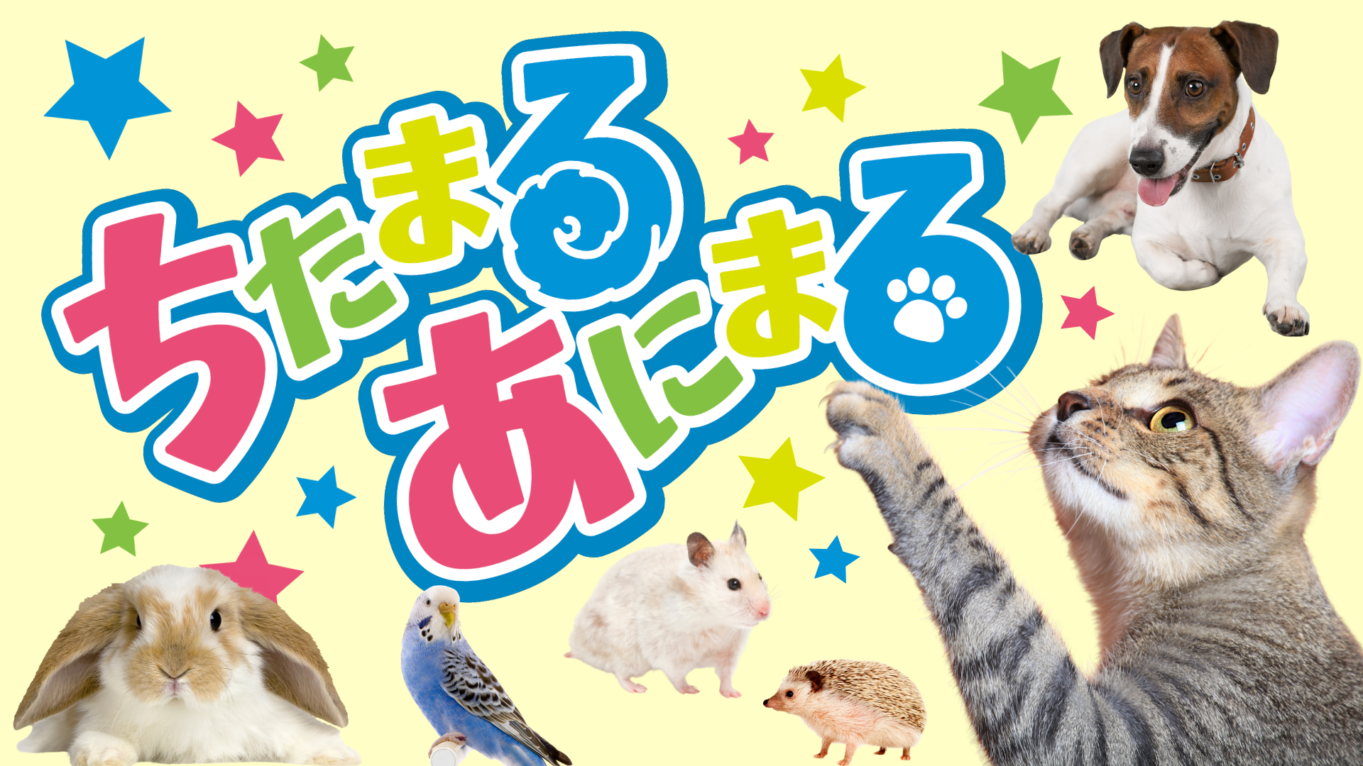 ちたまるあにまる